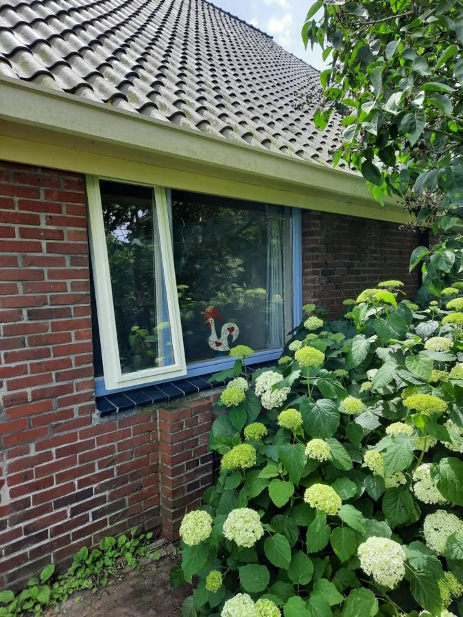 Vledderstee Apartman Vledderveen  Kültér fotó